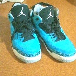Jordans/12 men's shoes